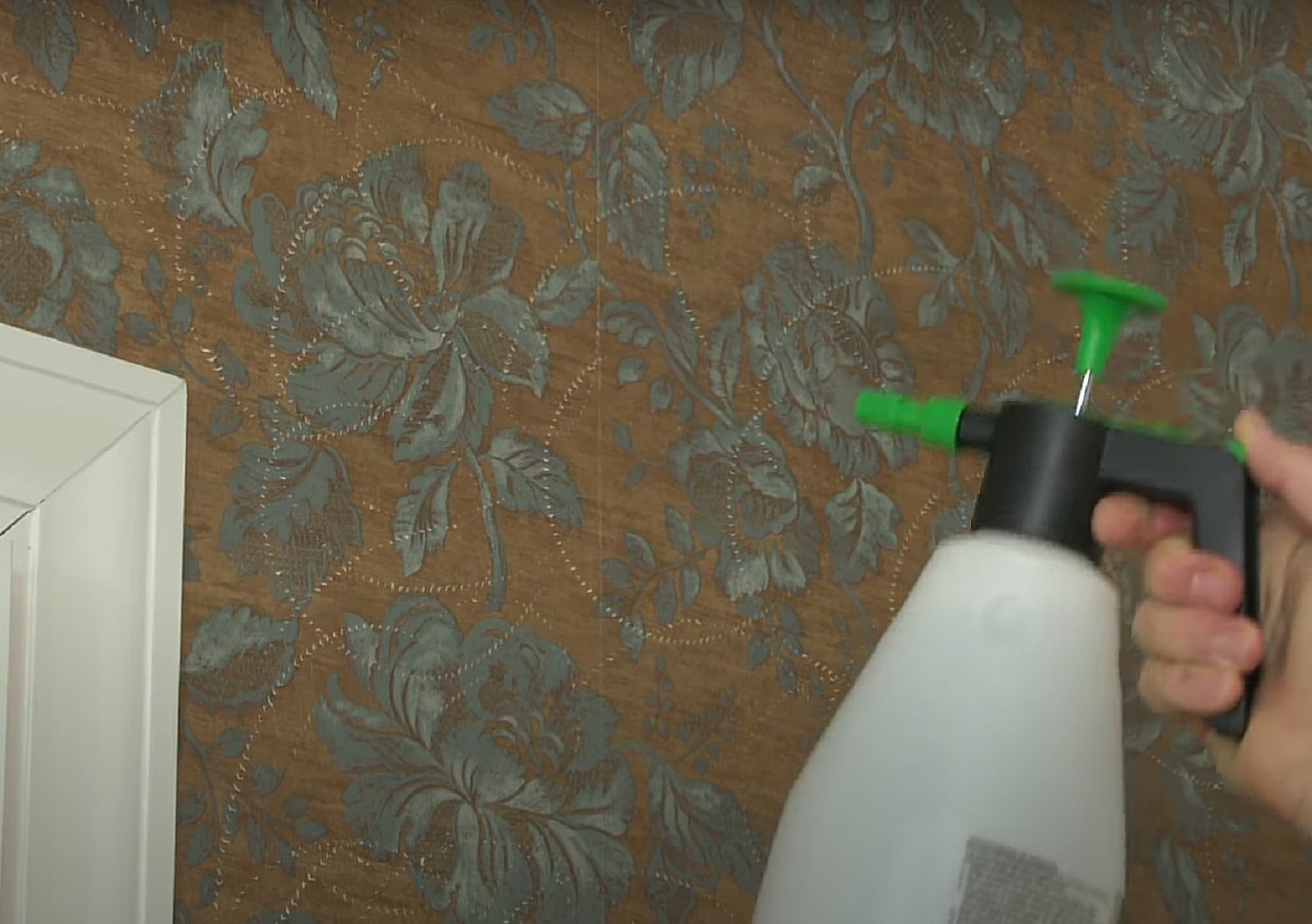 Експрес-метод: як швидко і без зусиль зняти старі шпалери