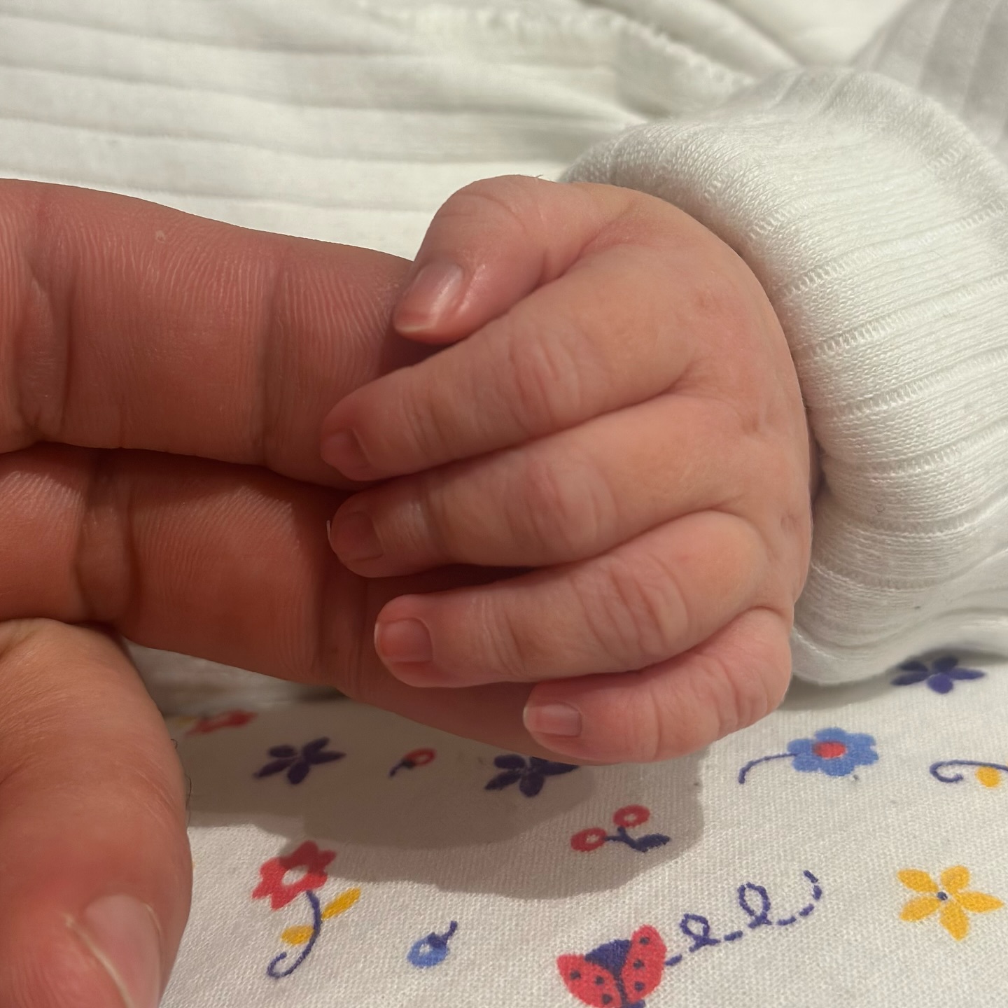 Зірковий бейбі-бум 2025: Нікітюк народила первістка, а Вірастюк став батьком вп'яте