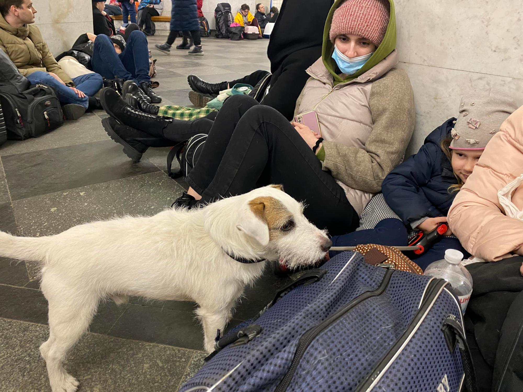 Ситуация в Киеве сейчас: что происходит в городе