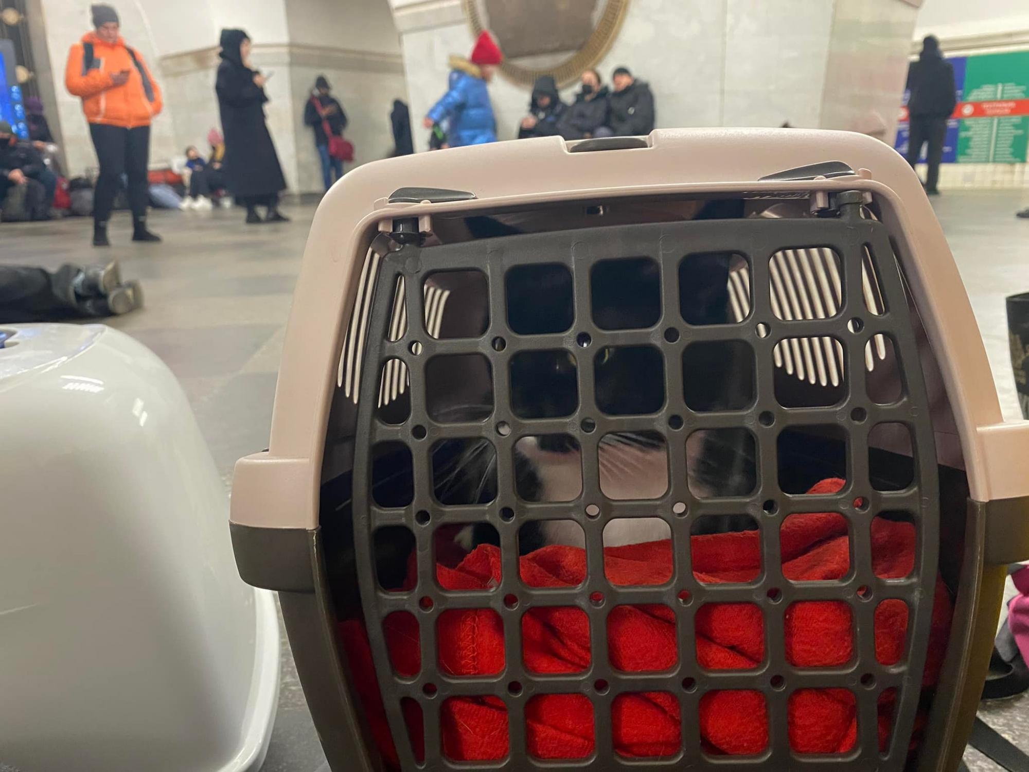 Ситуация в Киеве сейчас: что происходит в городе