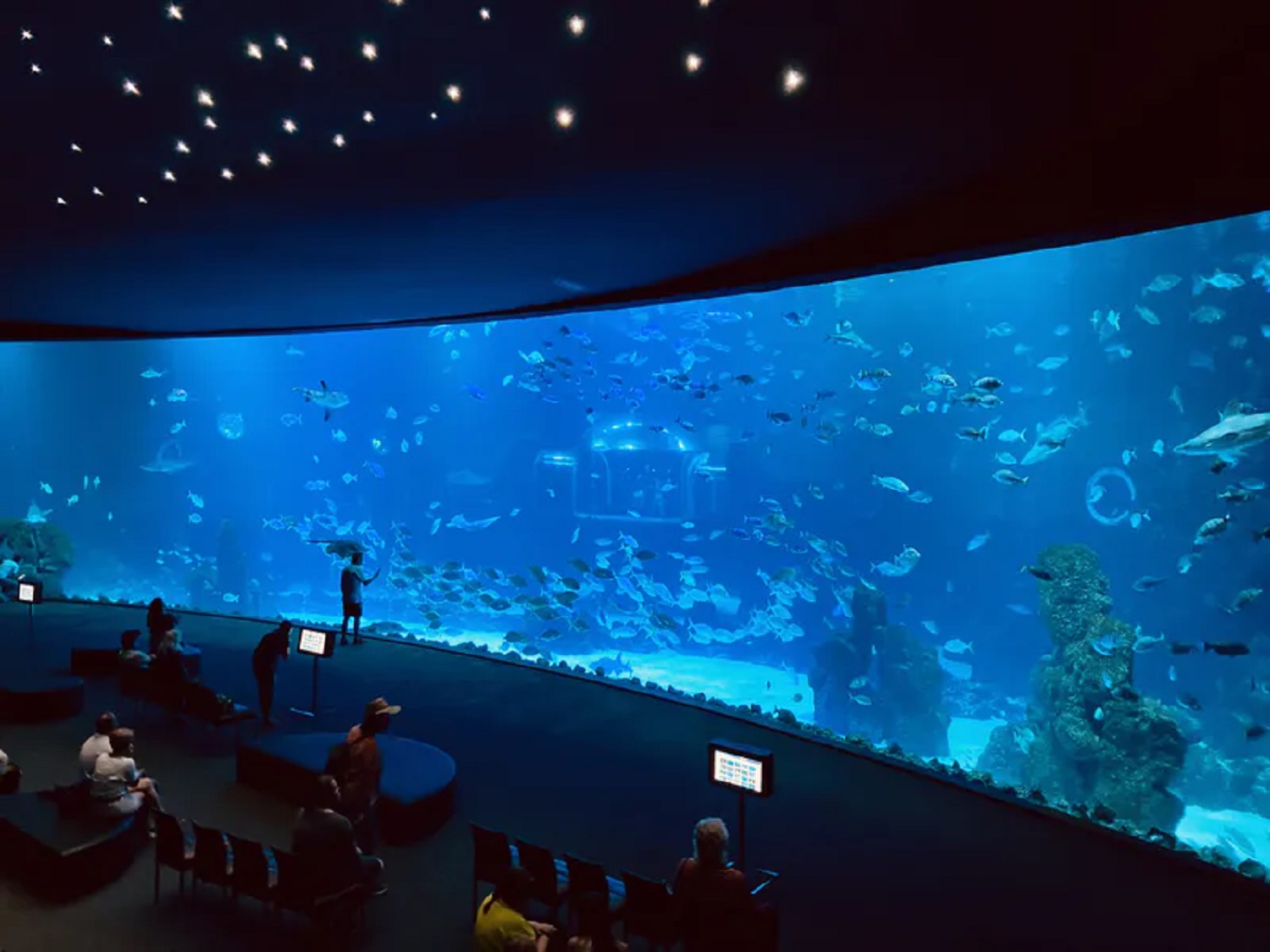 Океаны в миниатюре. 5 самых больших аквариумов мира