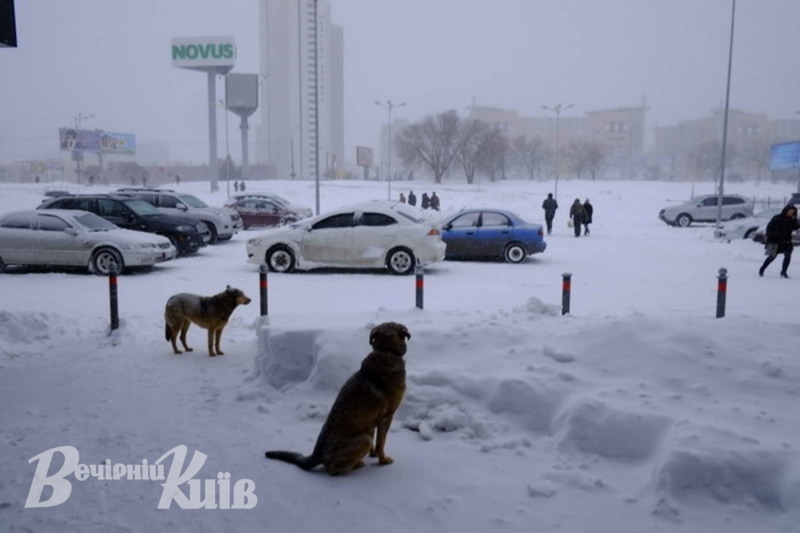 Синоптик розказала, коли в Україну прийде тепло