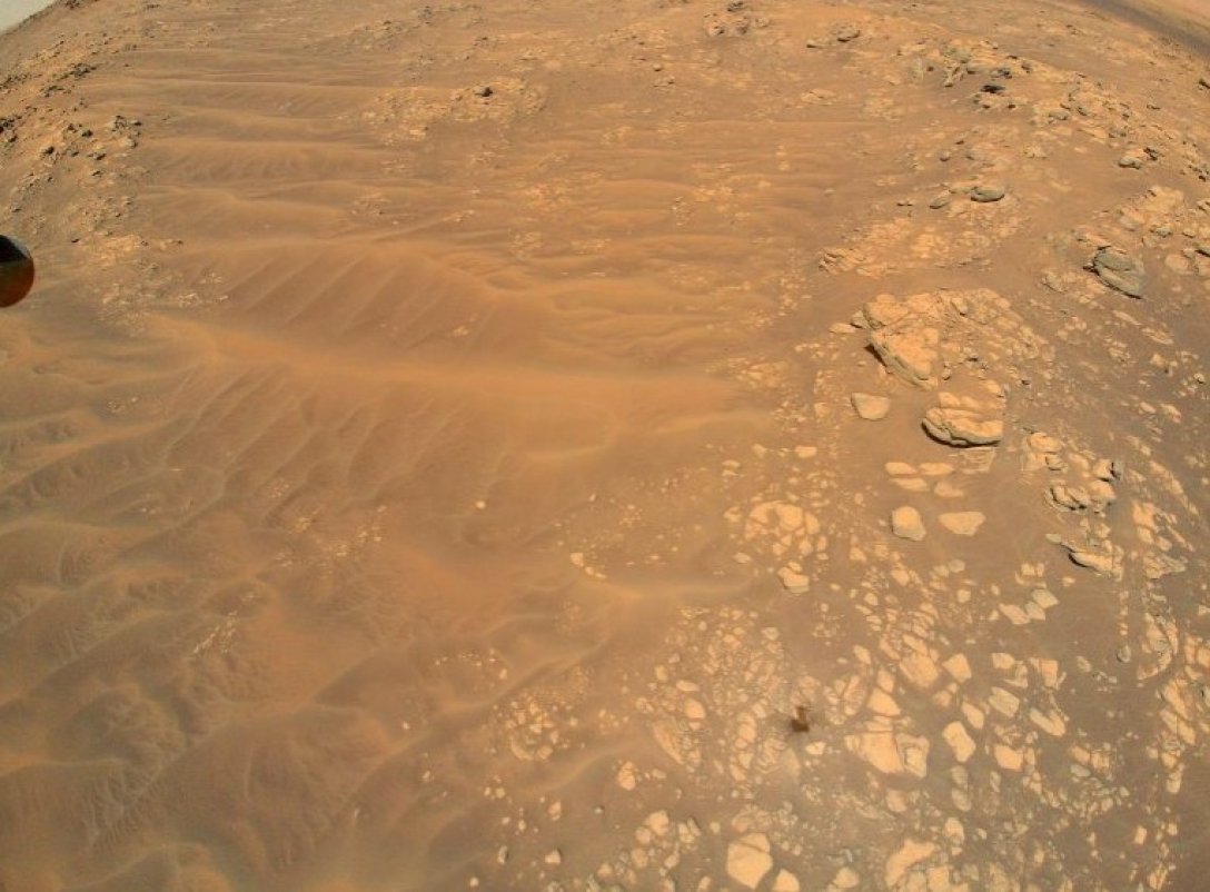 Космическое садоводство: ученые рассказали, какие растения смогут выращивать на Марсе