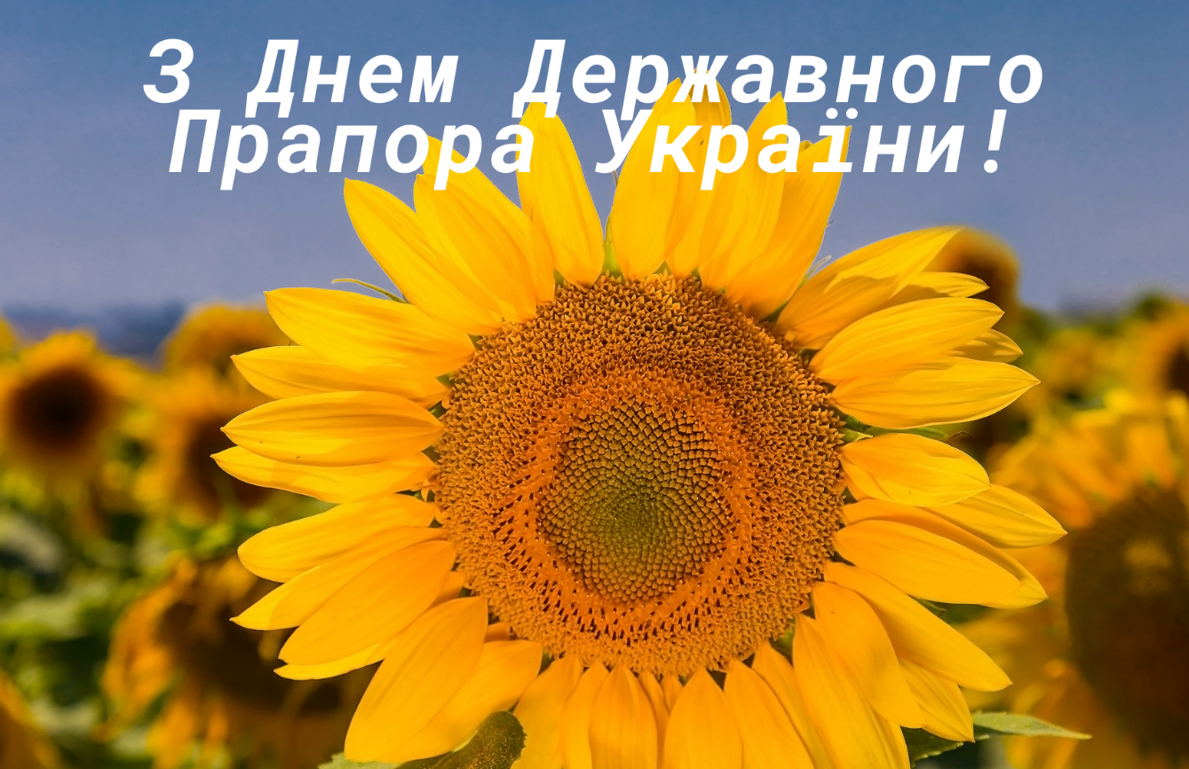 День Государственного флага Украины 2024: история праздника, красивые поздравления в стихах и прозе