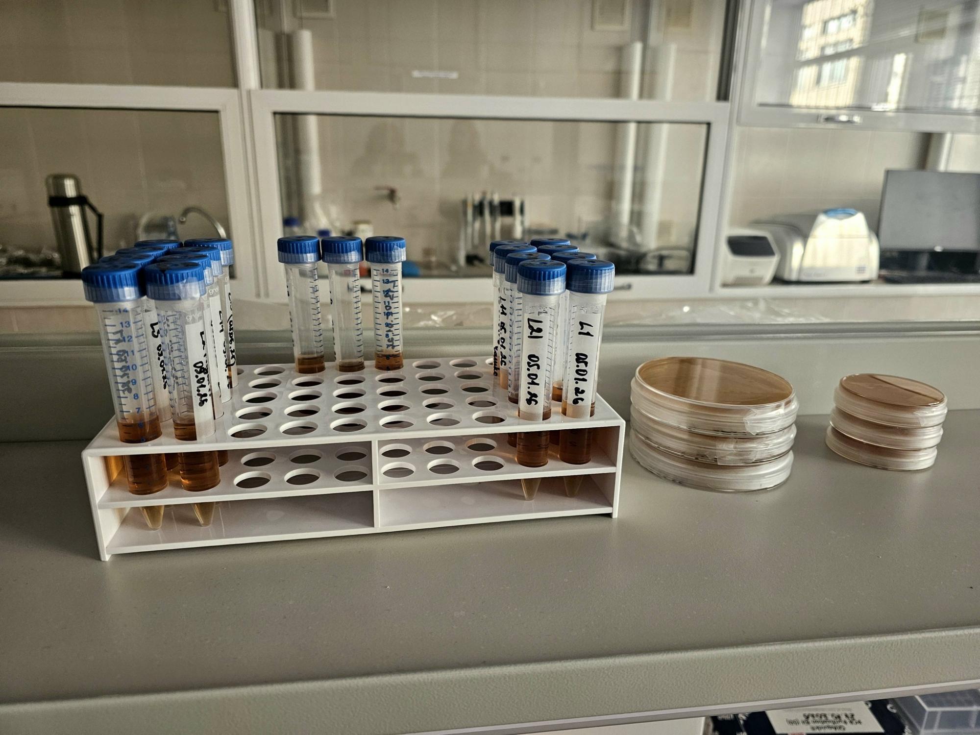 Антарктика рядом: в Украине заработала первая лаборатория полярной биологии