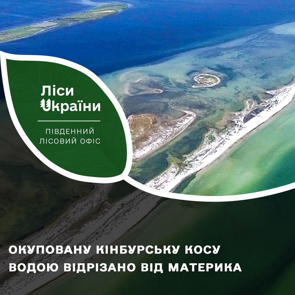 Превратилась в остров и бушуют пожары. Как сейчас выглядит Кинбурнская коса (фото, видео)