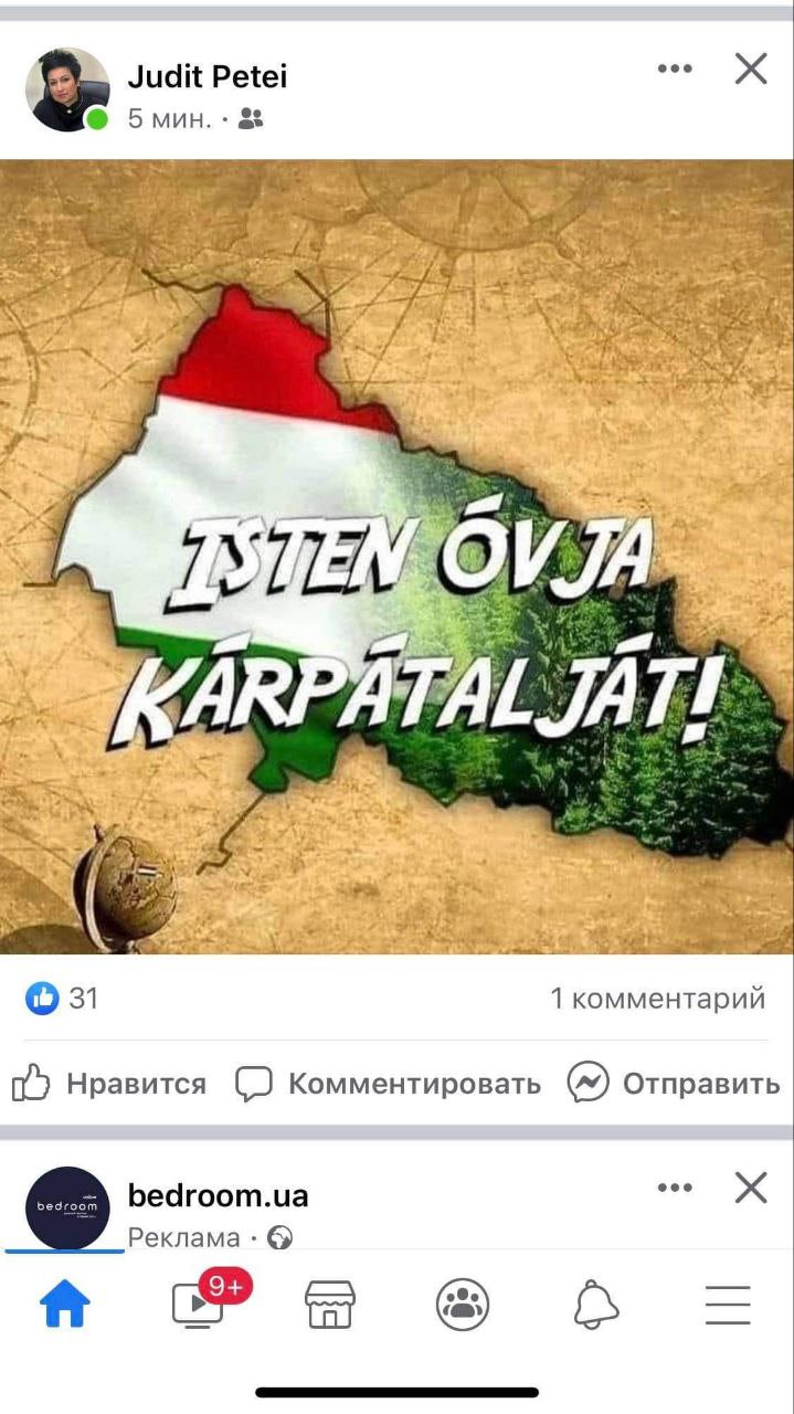 На Закарпатті депутат облради зобразила карту області у кольорах прапора Угорщини