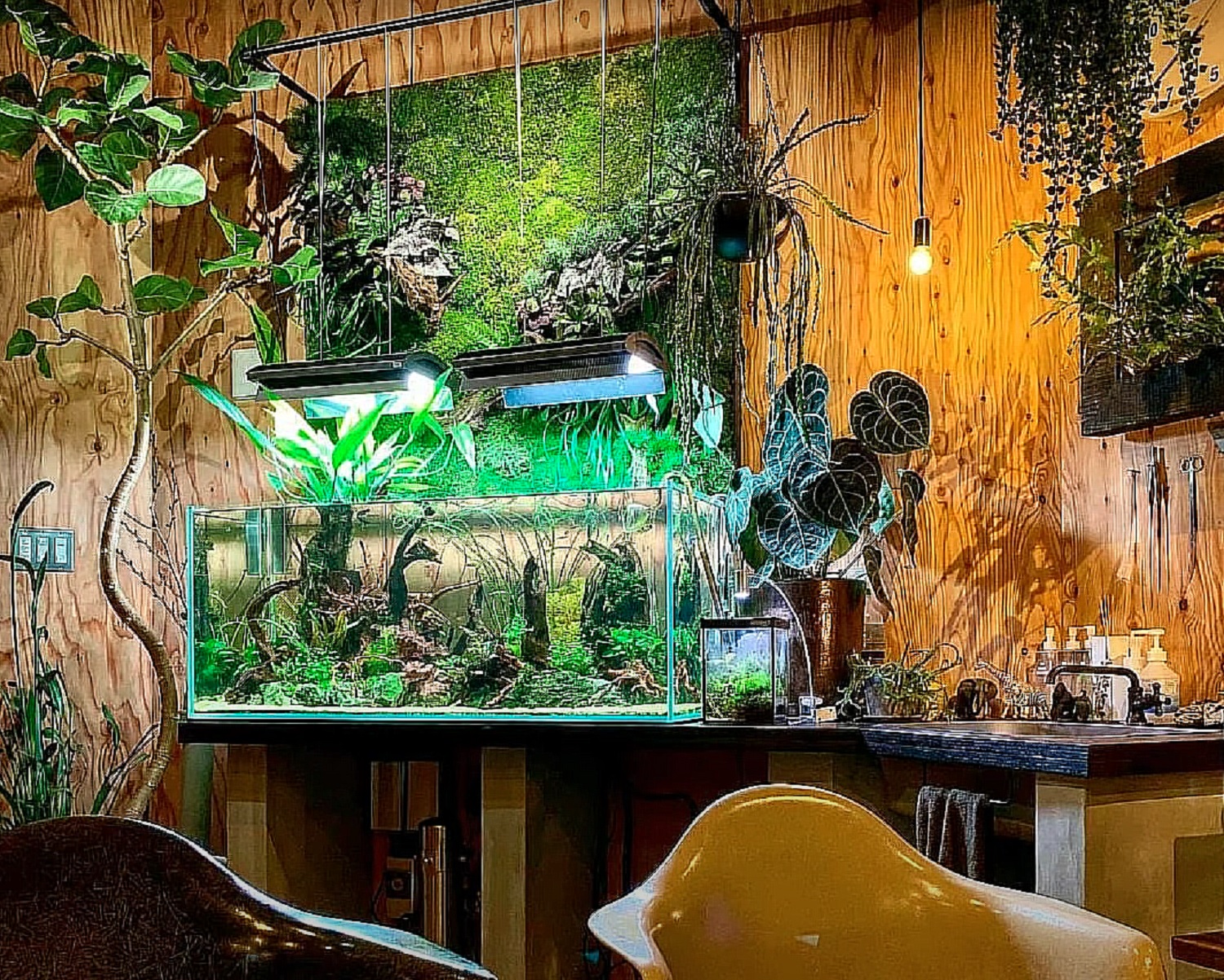Водная магия. Как сделать аквариум главным украшением интерьера квартиры