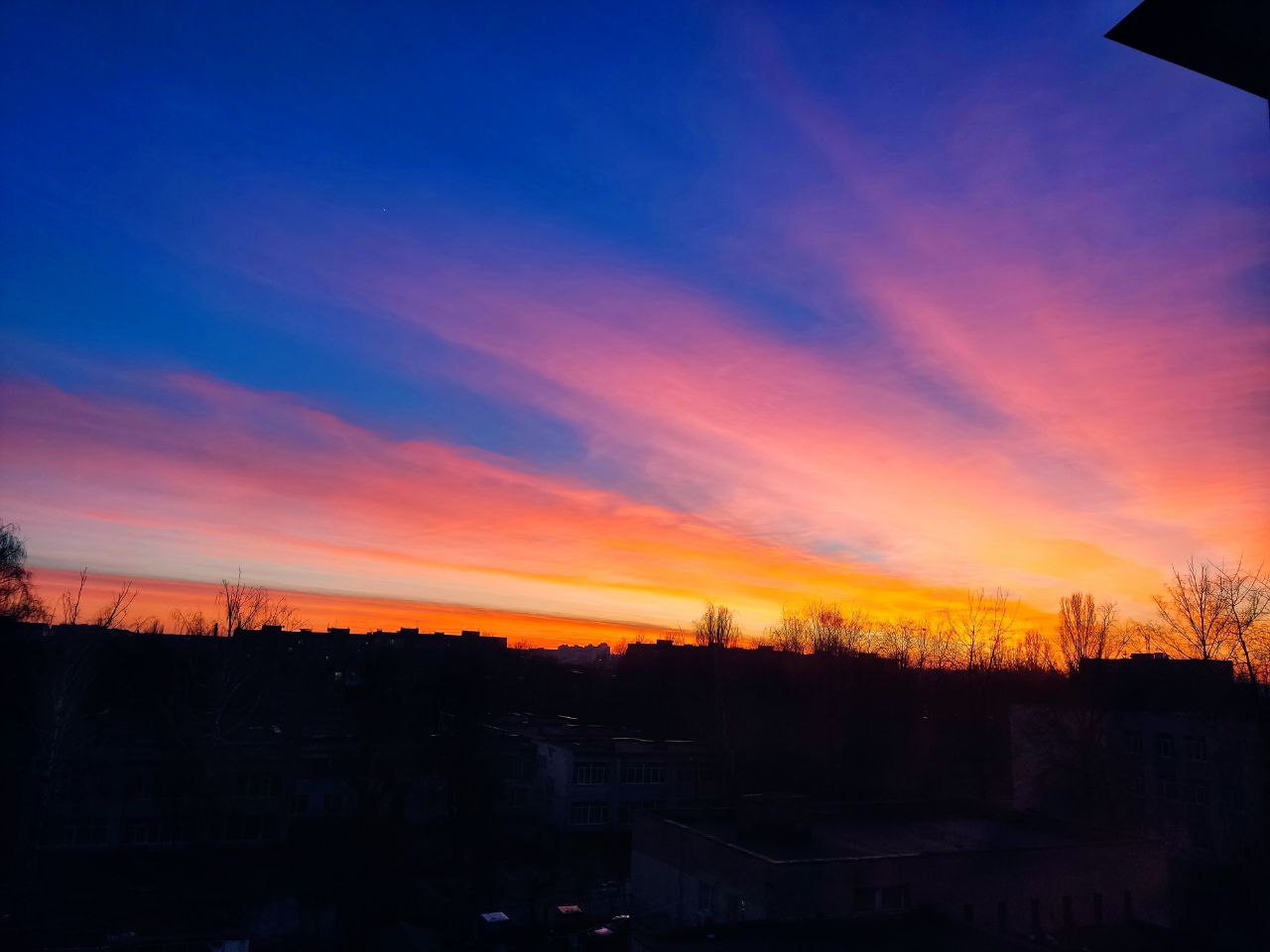 В новогоднюю ночь над Украиной увидели необычное явление: удивительные фото