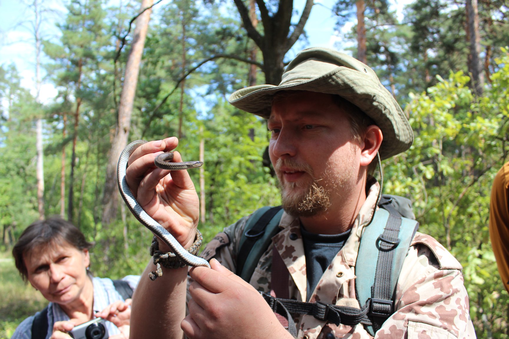 Целебные прогулки. Что такое лесная терапия и в чем ее польза: разговор с ученым