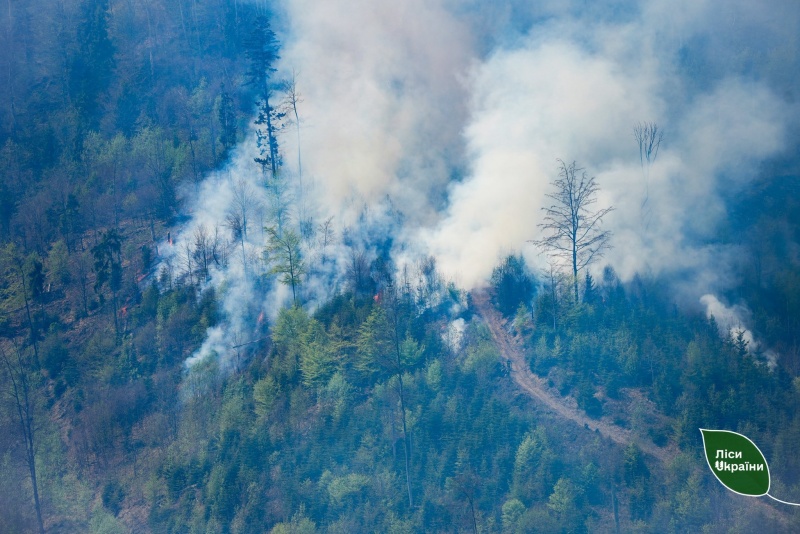 Massive wildfire in Ukraine caused by Russian attacks spreads toward Russian border