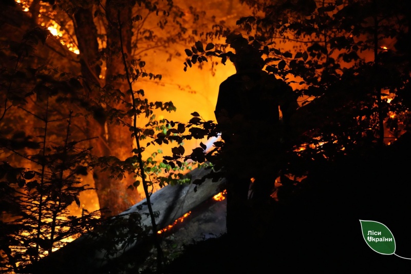 Massive wildfire in Ukraine caused by Russian attacks spreads toward Russian border