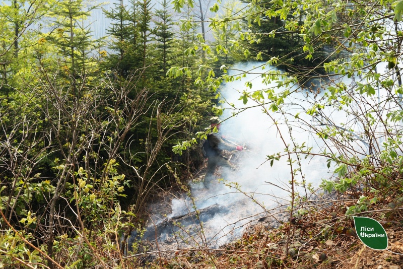 Massive wildfire in Ukraine caused by Russian attacks spreads toward Russian border