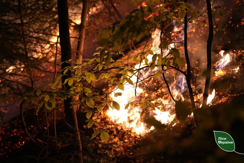 Massive wildfire in Ukraine caused by Russian attacks spreads toward Russian border