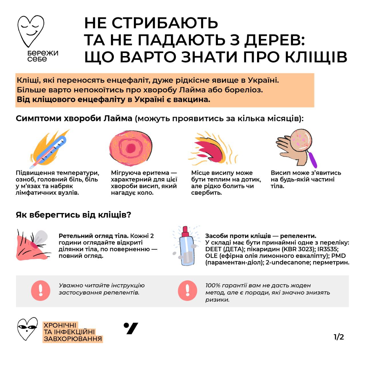 Осторожно, клещи! Что нужно знать об этих насекомых всем украинцам