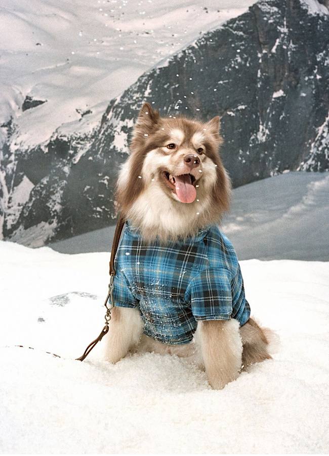 Ким Кардашьян представила новогодний кампейн в стиле 90-х