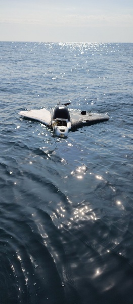 Bulgarian Navy neutralizes several drones off Black Sea coast