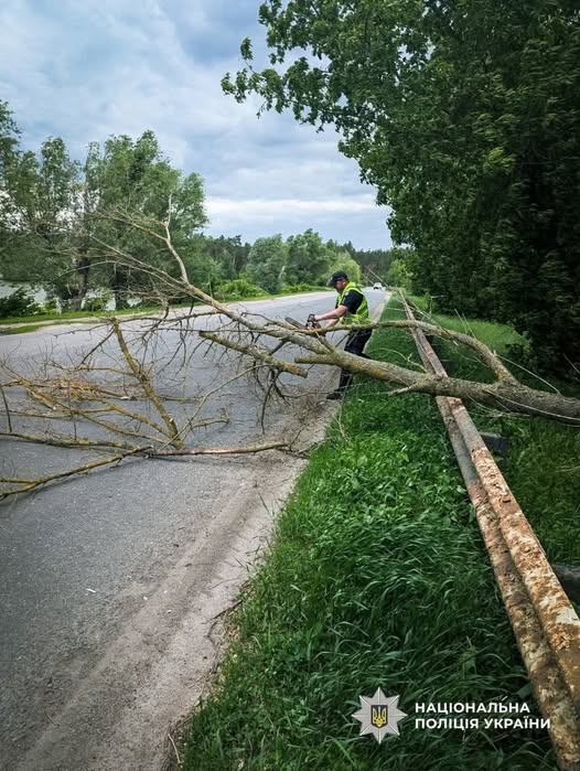 Поваленные деревья, град и ливни: что наделала непогода в Украине (фото, видео)
