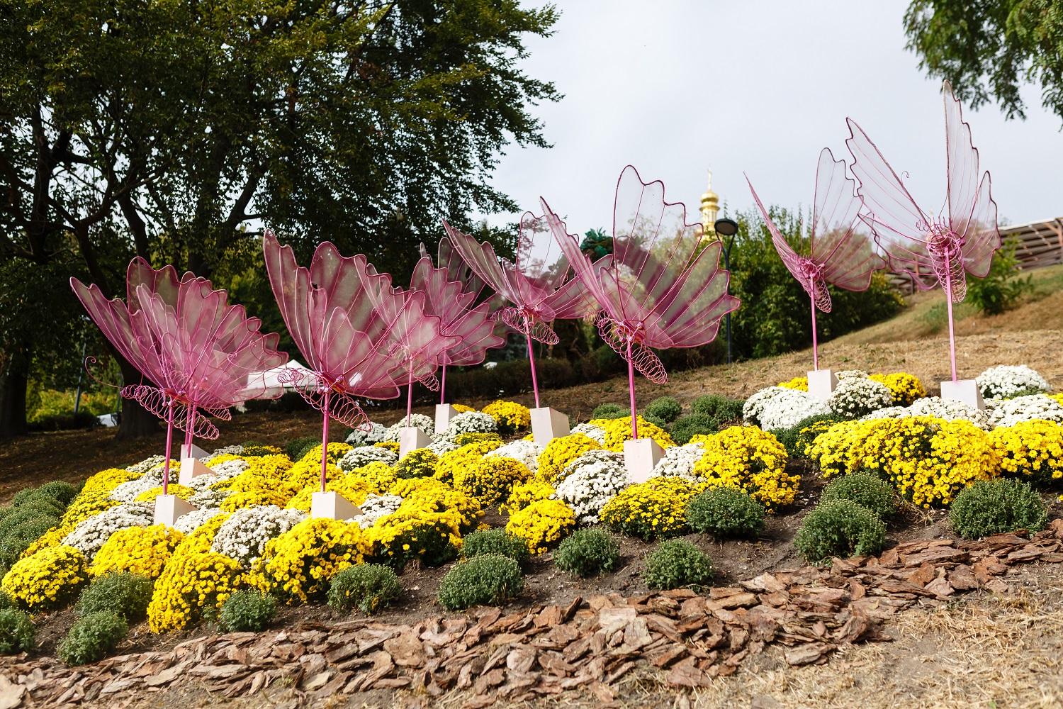 В Киеве открылась выставка хризантем для детей и взрослых: впечатляющие фото