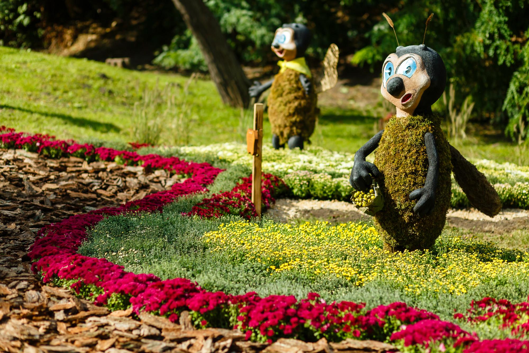 Идеальный вариант для выходного! В Киеве открыли невероятную цветочную выставку: яркие фото