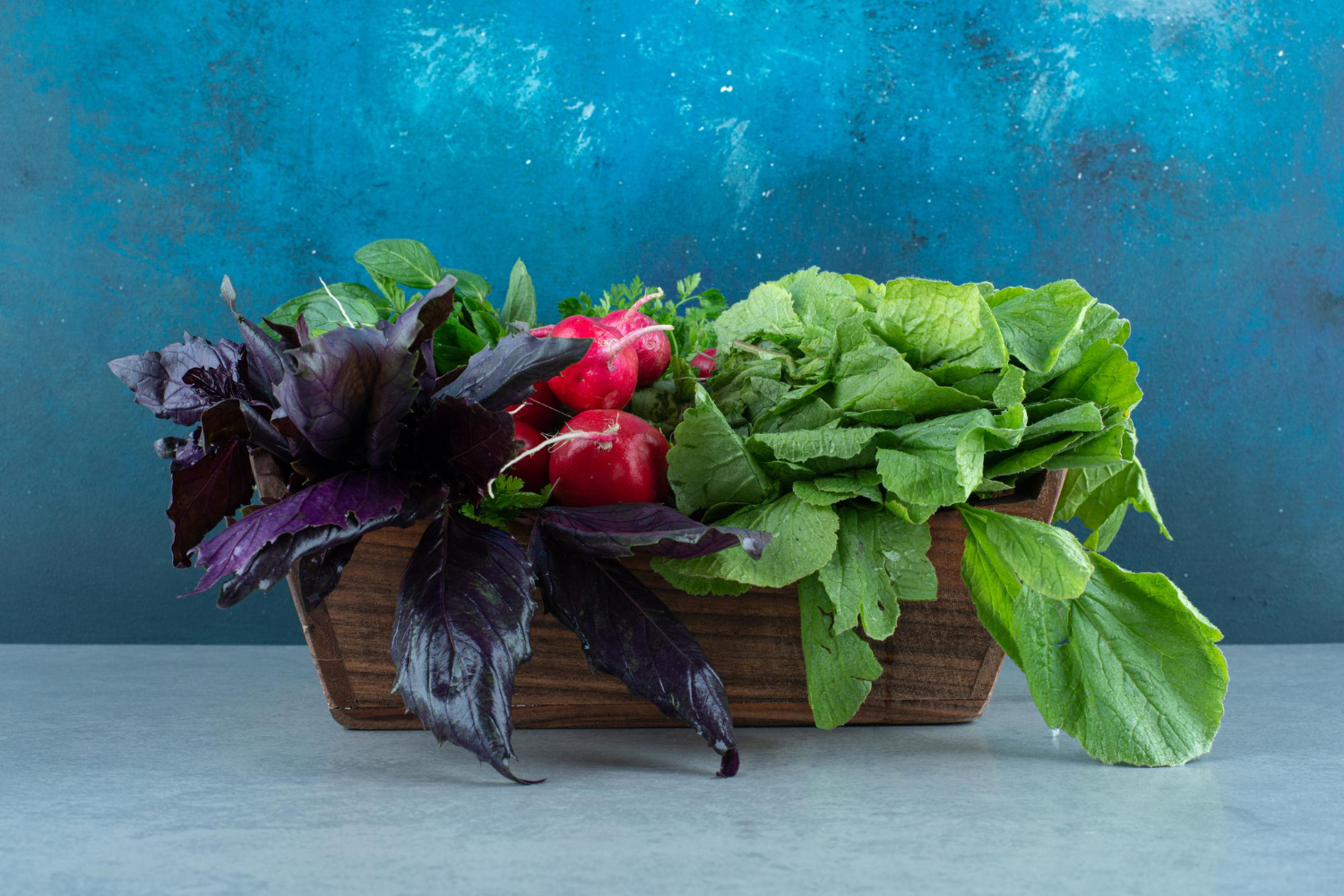 Если нет огорода: как вырастить базилик дома