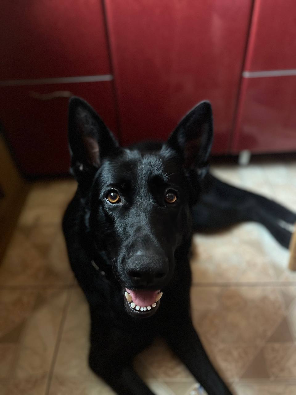 Мати захисника Азовсталі вивезла з Маріуполя нагороди сина: вже місяць від нього немає звісток