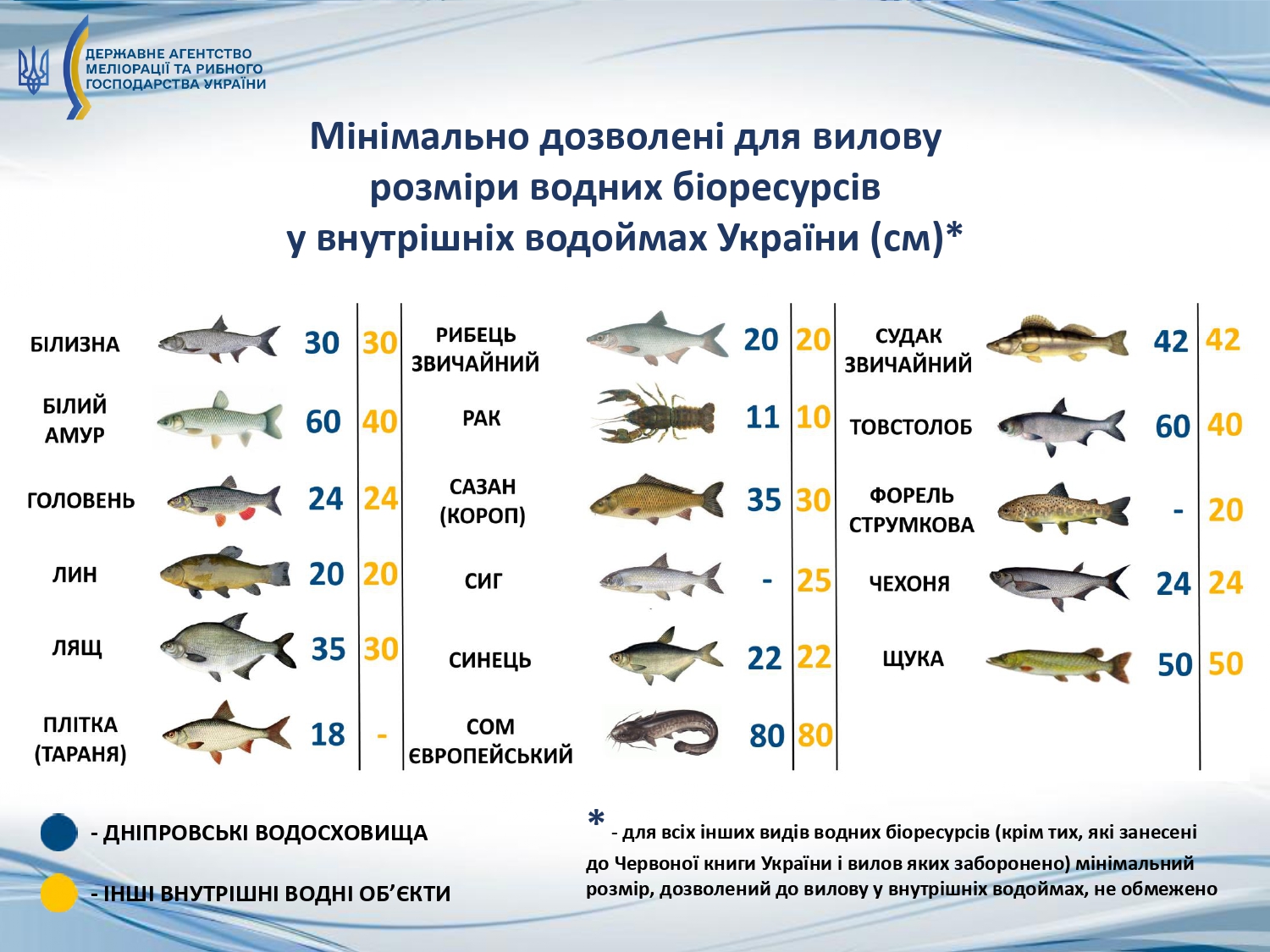 Чи дозволена в Україні риболовля з ночівлею в умовах воєнного стану: що треба знати