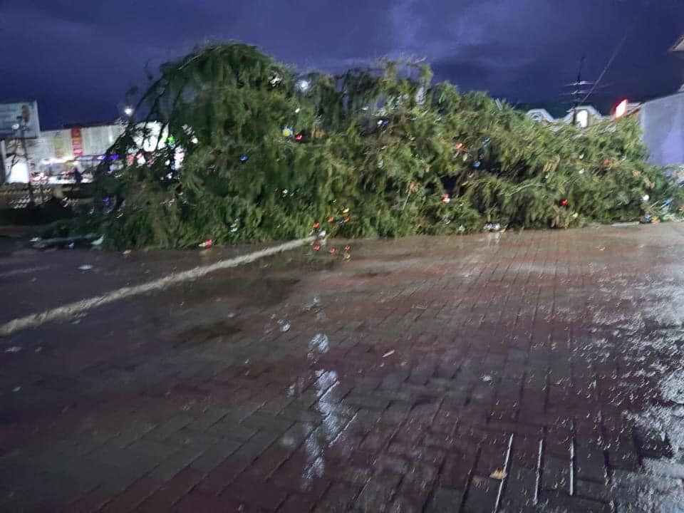 Ураганний вітер повалив новорічні ялинки в різних містах України (відео і фото)