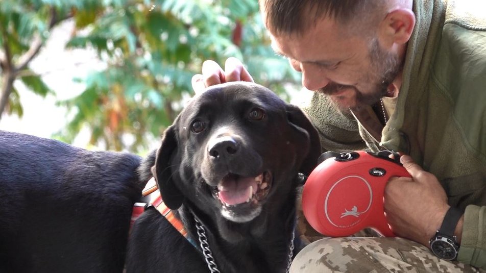 В Черкассах прооперировали раненую собаку Еву, которую боец ВСУ 12 часов вез из Лимана