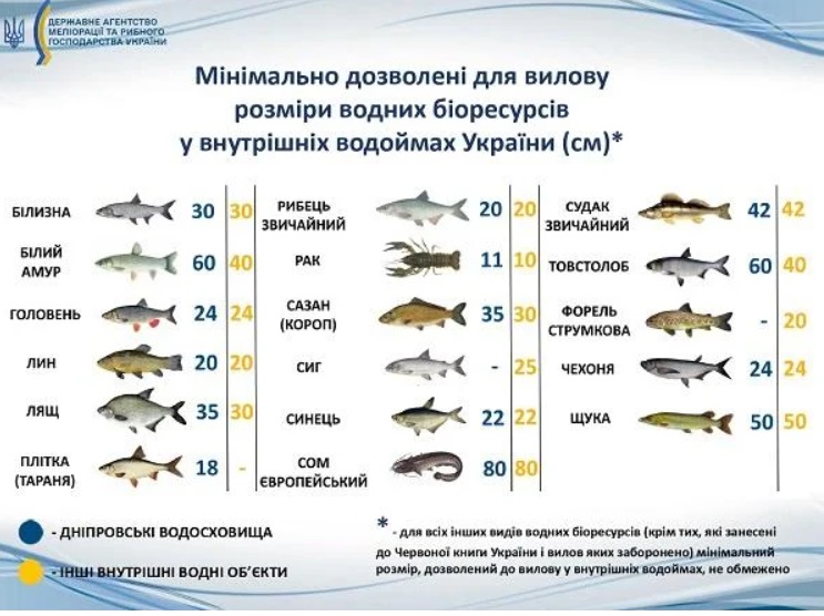 Яку рибу можна ловити в травні, а яку - категорично заборонено
