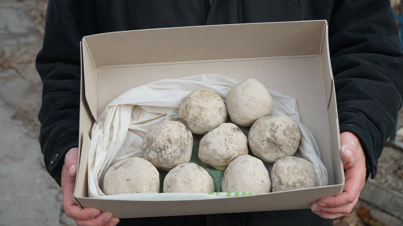 Нова знахідка. На дні Каховського водосховища виявили артефакти козацької доби