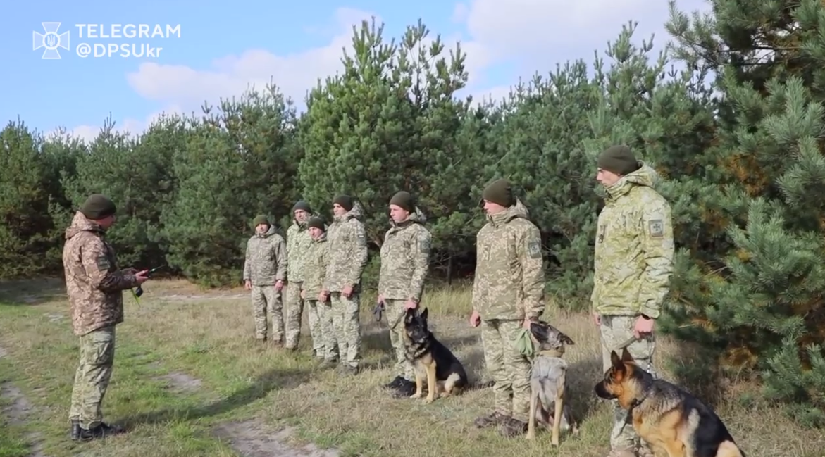 Пес с GPS: в Украине показали, как готовят четырехлапых пограничников (видео)