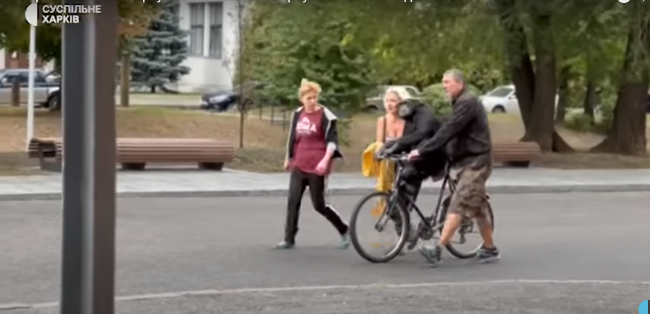 У Харкові на вулиці гуляв шимпанзе, який втік з зоопарку: тварину повернули на велосипеді (відео)