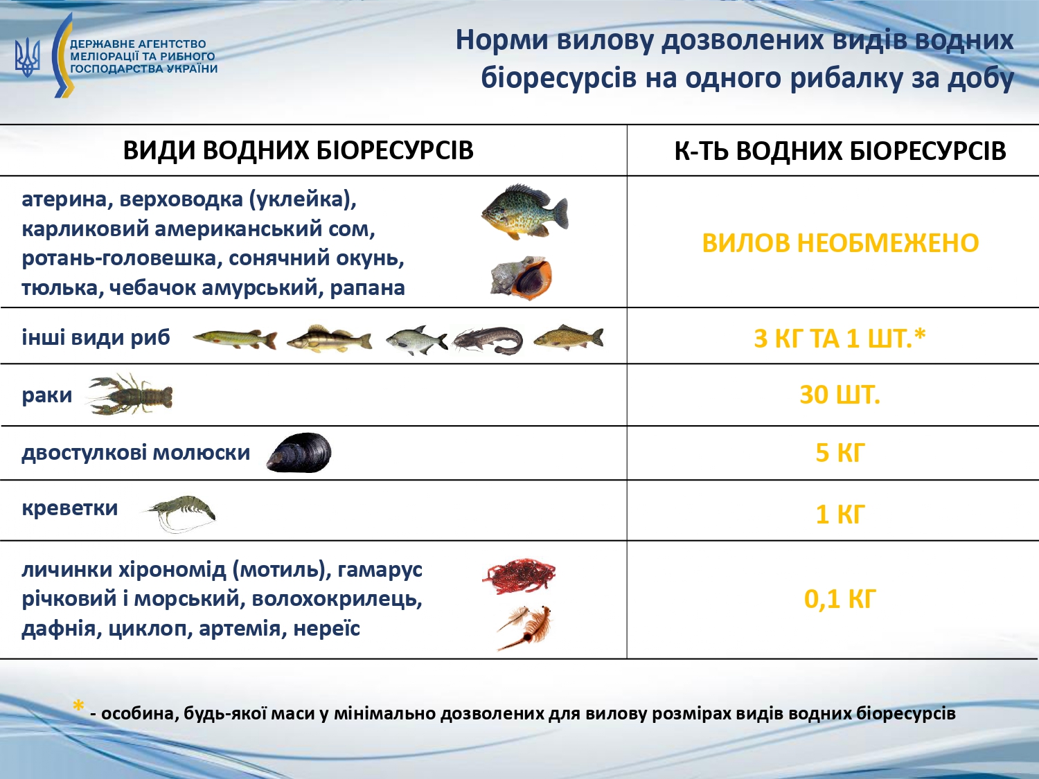 Українців попередили про штрафи. Запам'ятайте ці правила вилову риби, щоб не влетіти в копійку