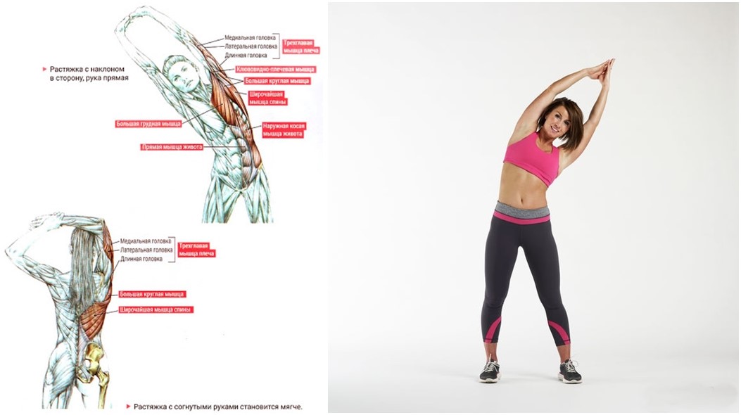 Як стати гнучкою, наче кішка. 5 простих вправ для розтяжки