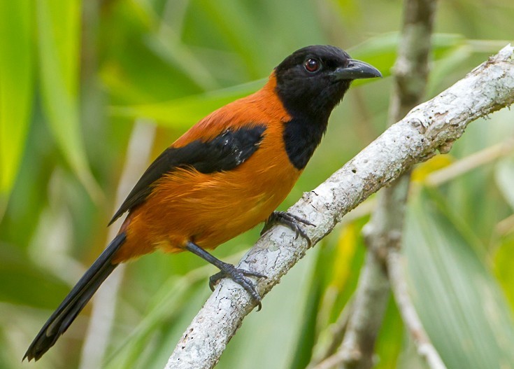 Эти факты не укладываются в голове, но подтверждены научно: вы их точно не знали