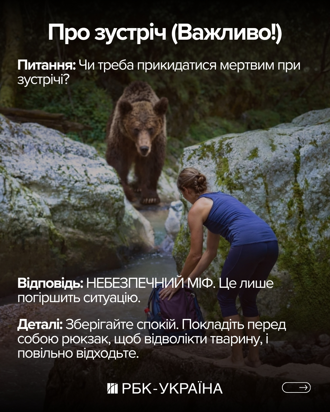 Правда или миф: 10 фактов о медведях, в которые мы верили с детства