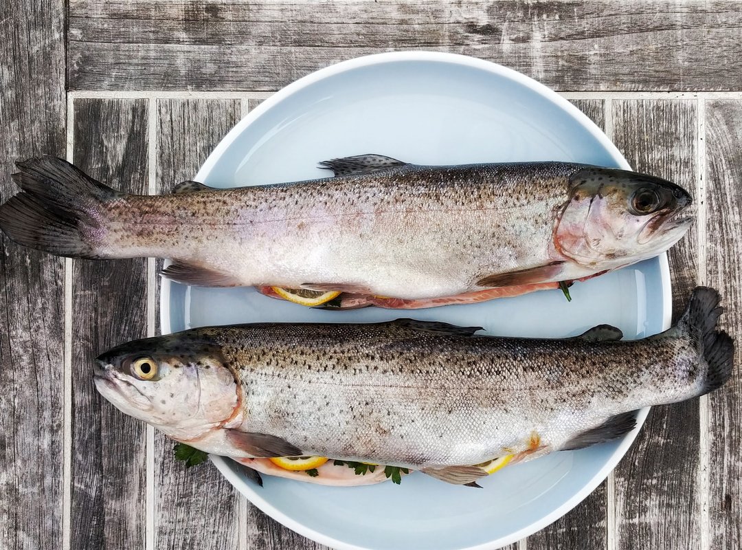 Названо 5 найкорисніших риб, які треба їсти всім