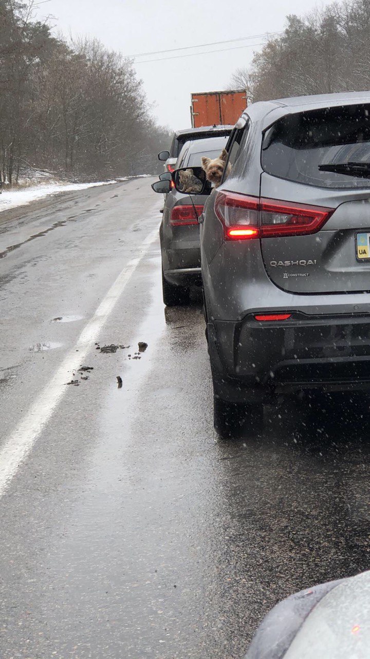 &quot;Вік не має ставити життя на паузу&quot;. Як українські пенсіонери стали студентами у Словаччині