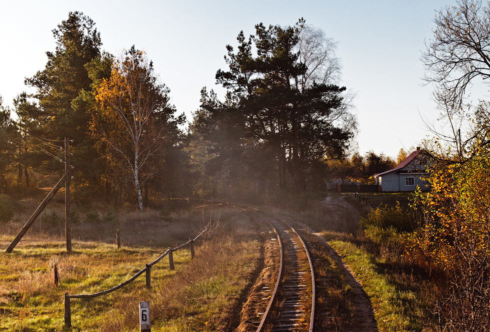 Изюминка Полесья. Возродят ли уникальную узкоколейку на Ровенщине