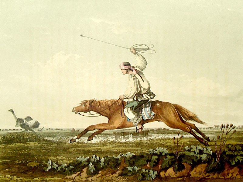 Топ-3 комахи, які прокачали маскування, щоб вижити