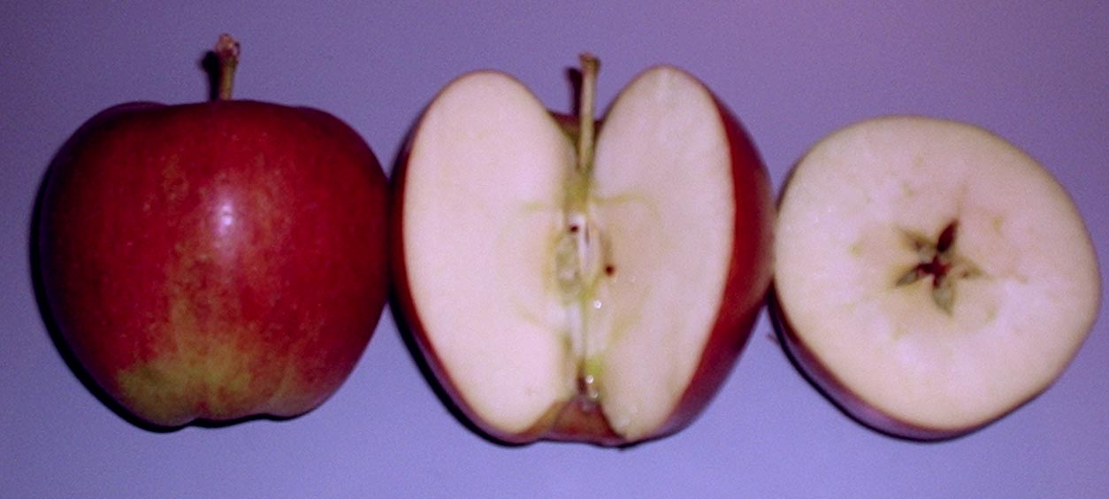 Идеальный пирог - это просто! Лучшие виды яблок для выпечки