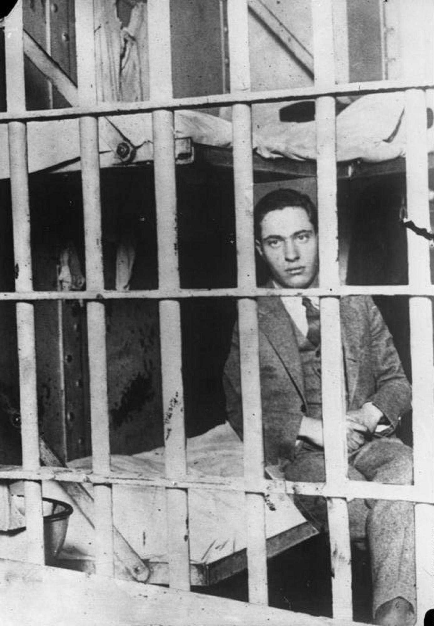 Geniuses with sky-high IQs: How their extraordinary lives unfolded