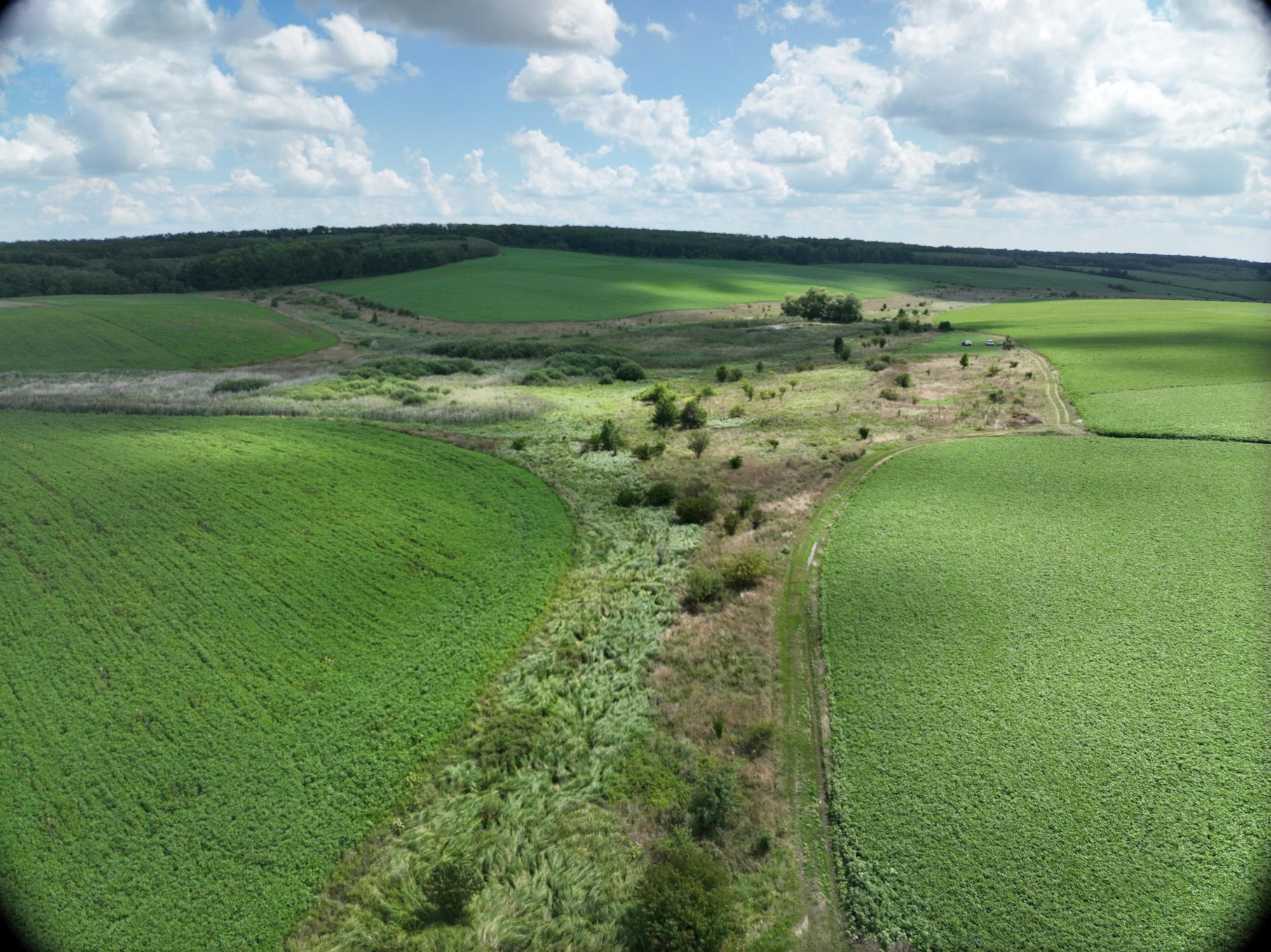 Чи відновлять Каховську ГЕС, чому цвіте Дніпро і що з Полтвою у Львові: бліц з гідрологом