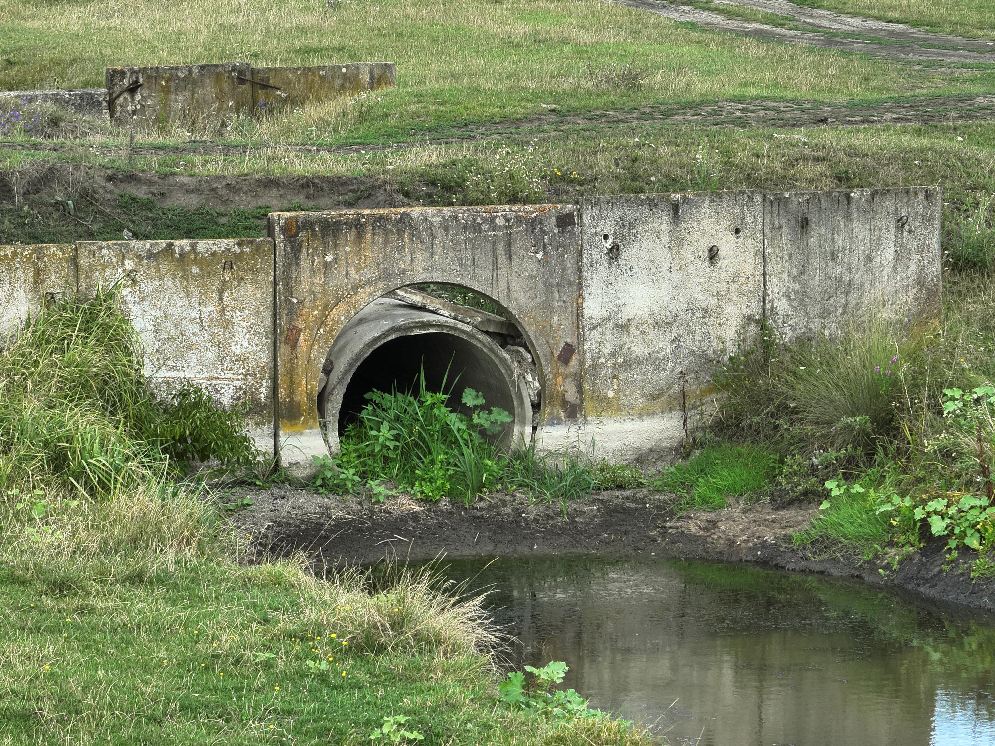 Чи відновлять Каховську ГЕС, чому цвіте Дніпро і що з Полтвою у Львові: бліц з гідрологом
