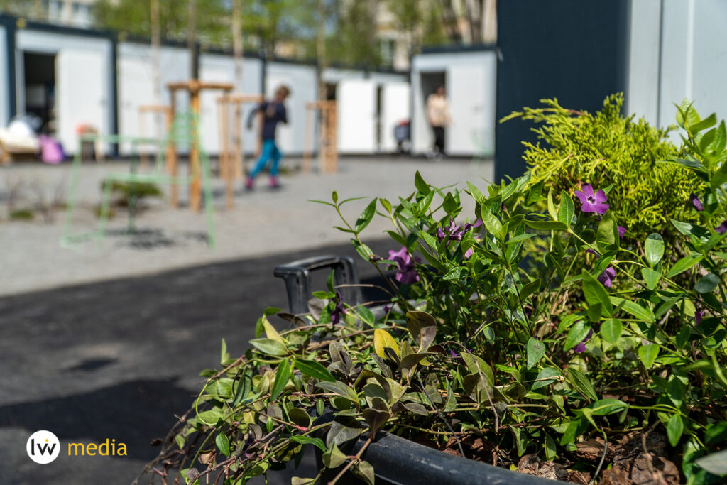 Свет, вода и питание: как выглядит модульный городок для переселенцев во Львове (фото)