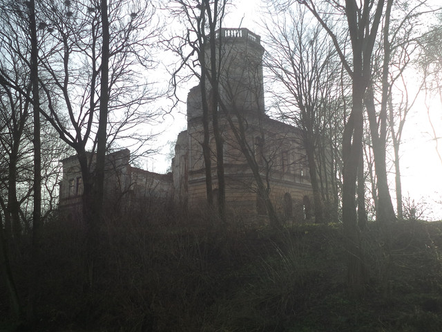 Під Львовом продають унікальний замок XVIII століття за 1 гривню (фото)