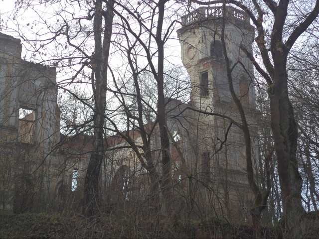 Під Львовом продають унікальний замок XVIII століття за 1 гривню (фото)