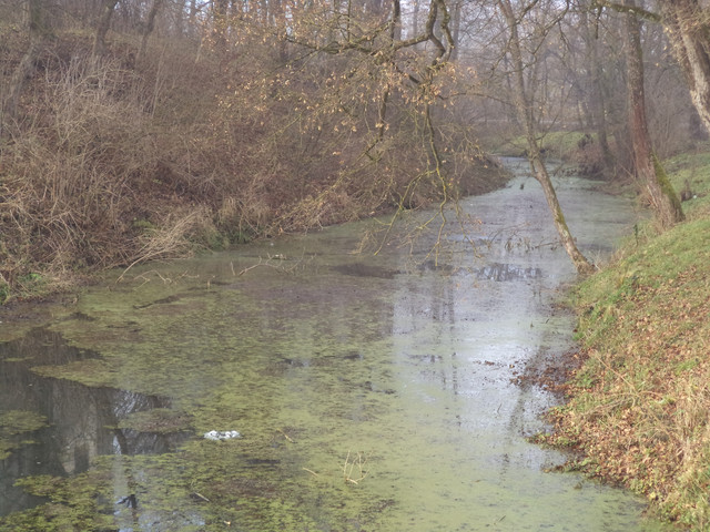 Під Львовом продають унікальний замок XVIII століття за 1 гривню (фото)