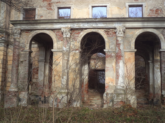 Під Львовом продають унікальний замок XVIII століття за 1 гривню (фото)